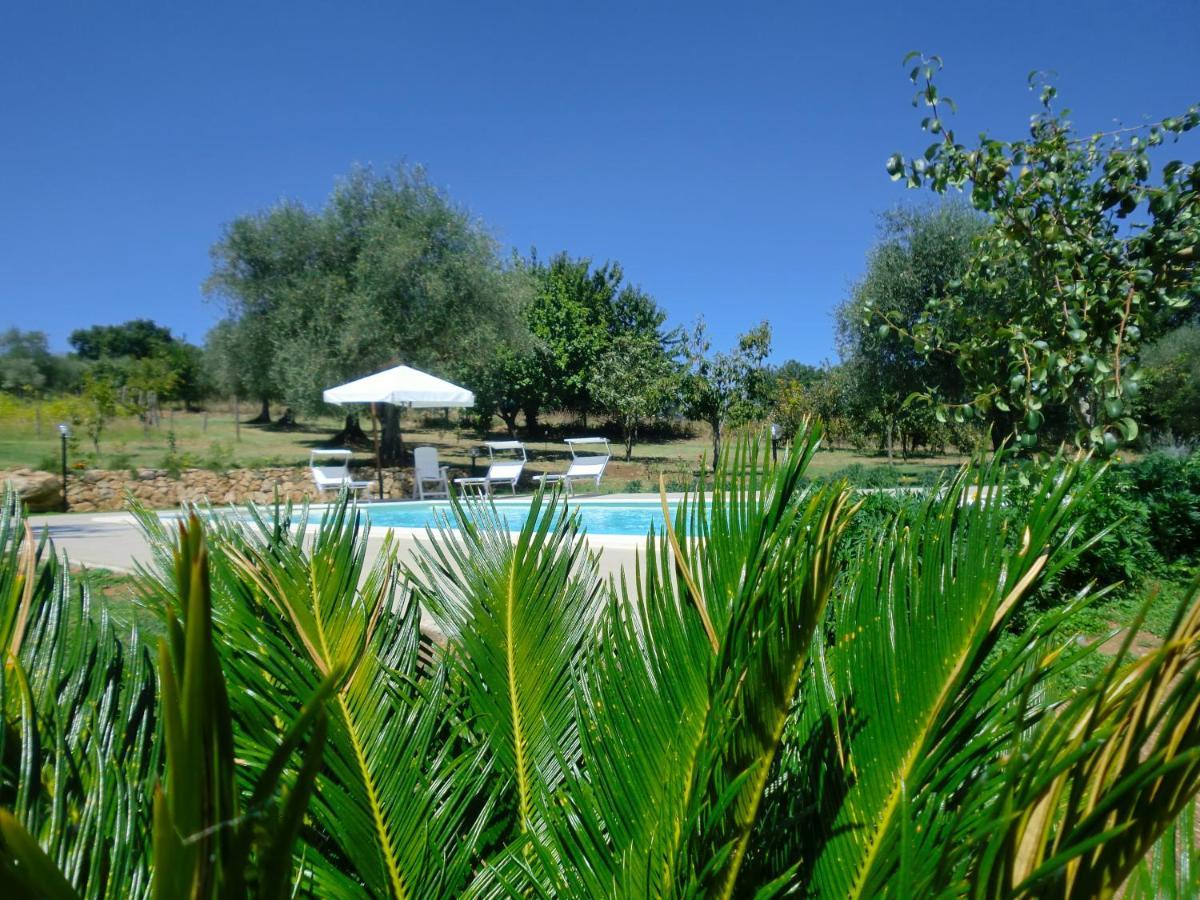 Bed and Breakfast I Massi San Michele in Teverina Экстерьер фото