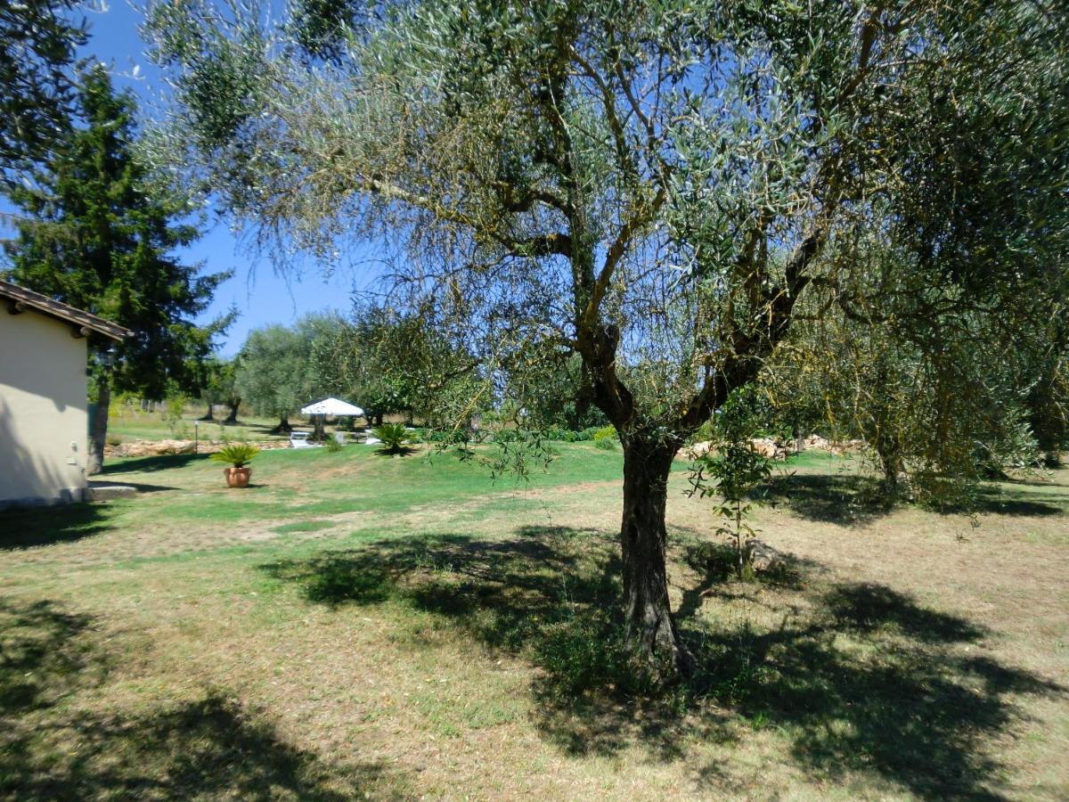 Bed and Breakfast I Massi San Michele in Teverina Экстерьер фото